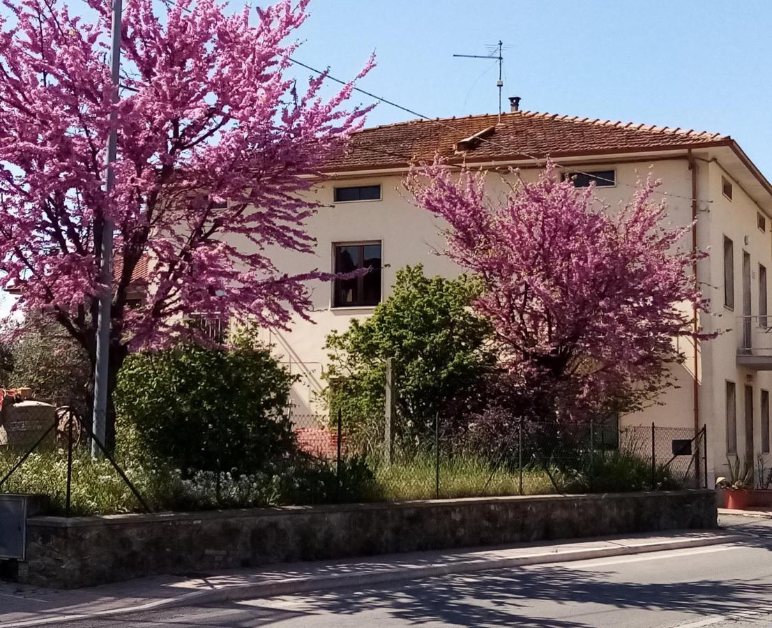 Bedandbiking Bed & Breakfast Cortona Exterior photo